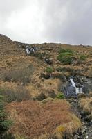 Cjp_2017-03-30_165216.jpg