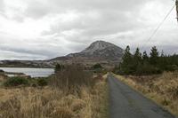 Cjp_2017-03-30_165252.jpg