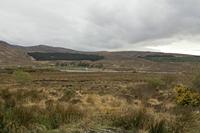 Cjp_2017-03-30_171056.jpg
