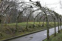 Cjp_2017-03-31_072542.jpg