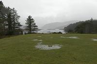 Cjp_2017-03-31_072650.jpg