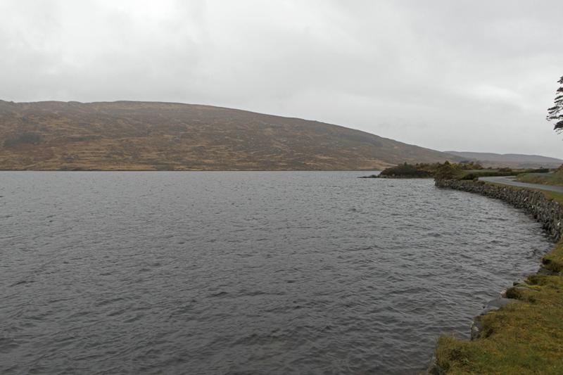 Cjp_2017-03-31_081244.jpg