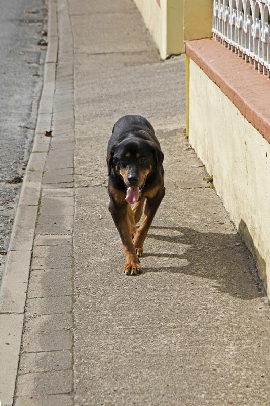 Cjp_2017-03-31_121528.jpg