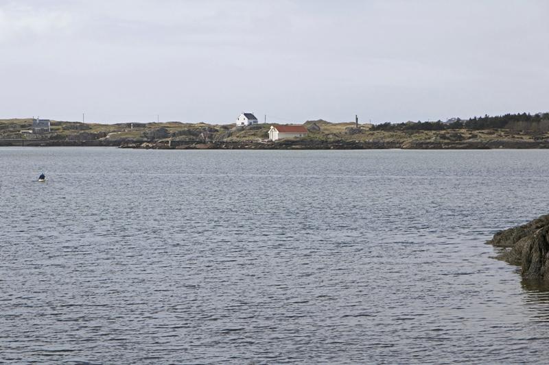 Cjp_2017-03-31_122106.jpg