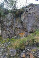 Cjp_2017-03-31_074730.jpg