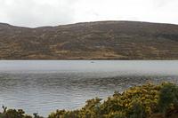 Cjp_2017-03-31_080120.jpg