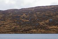 Cjp_2017-03-31_080442.jpg