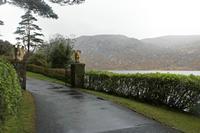 Cjp_2017-03-31_081706.jpg