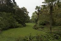 Cjp_2017-03-31_082148.jpg