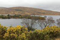 Cjp_2017-03-31_084754.jpg
