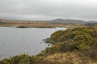 Cjp_2017-03-31_085116.jpg