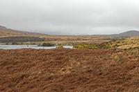 Cjp_2017-03-31_085158.jpg