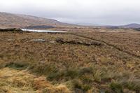 Cjp_2017-03-31_085620.jpg