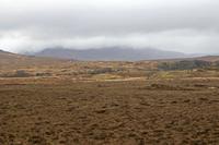 Cjp_2017-03-31_085904.jpg
