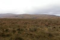 Cjp_2017-03-31_090358.jpg