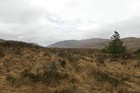 Cjp_2017-03-31_090722.jpg
