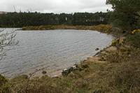 Cjp_2017-03-31_090954.jpg