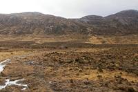 Cjp_2017-03-31_093500.jpg