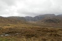 Cjp_2017-03-31_094220.jpg