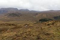 Cjp_2017-03-31_094230.jpg