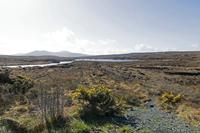 Cjp_2017-03-31_100826.jpg