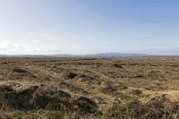 Cjp_2017-03-31_101110.jpg