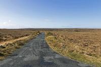 Cjp_2017-03-31_101216.jpg