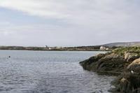 Cjp_2017-03-31_122024.jpg