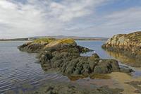 Cjp_2017-03-31_122036.jpg