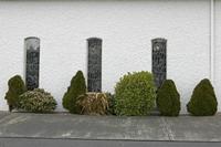 Cjp_2017-03-31_132446.jpg
