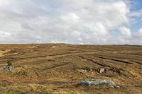 Cjp_2017-03-31_135104.jpg