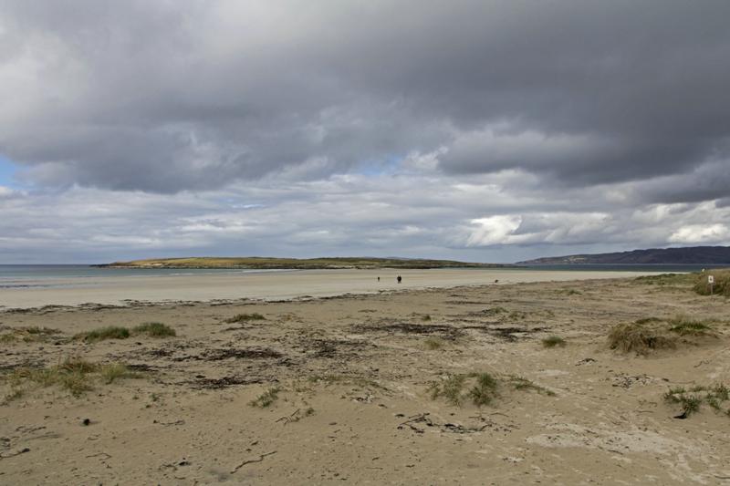 Cjp_2017-03-31_141526.jpg