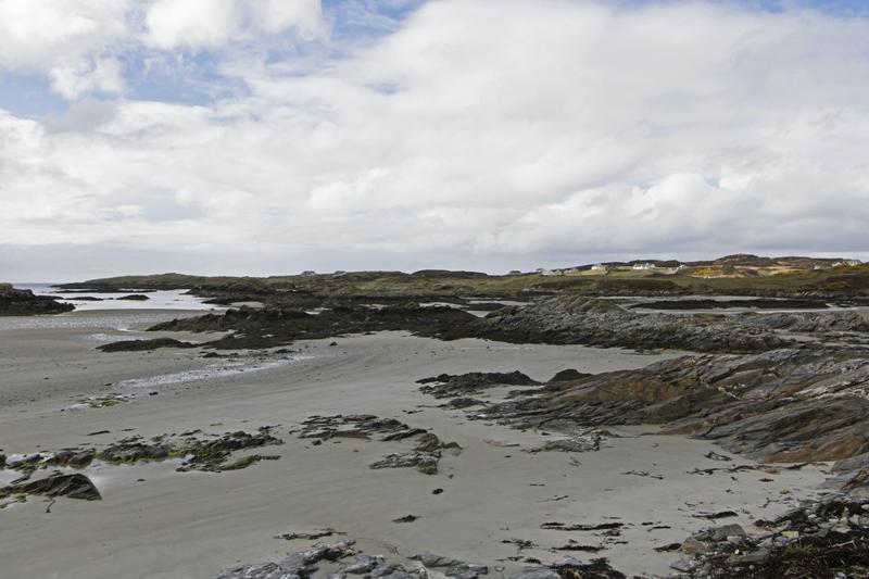 Cjp_2017-03-31_144504.jpg