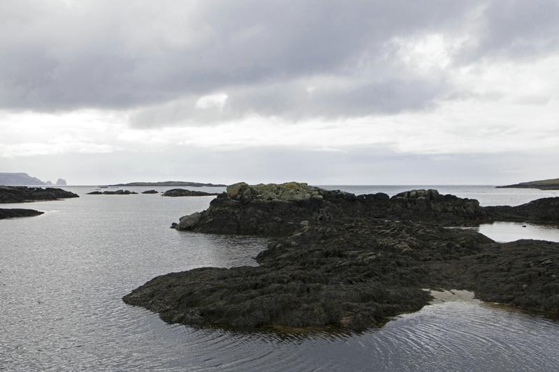 Cjp_2017-03-31_145018.jpg