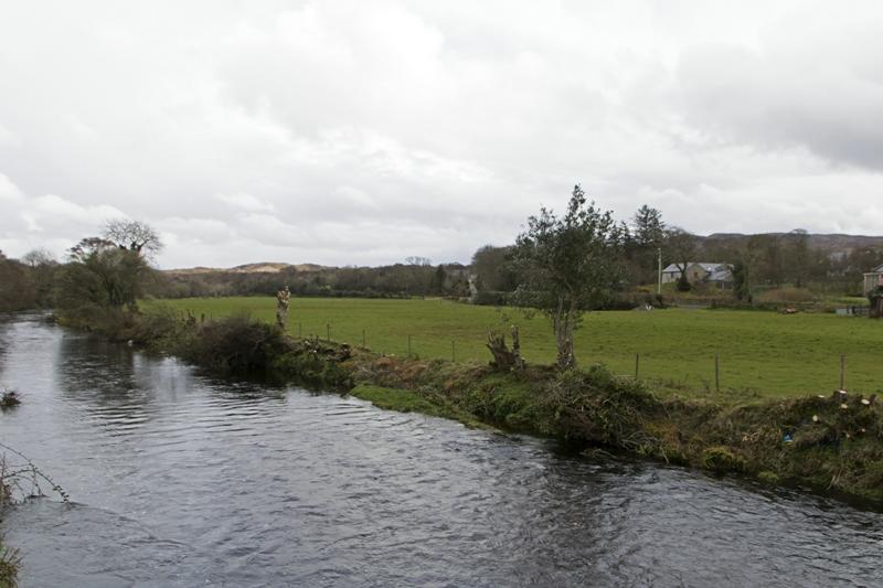 Cjp_2017-03-31_154844.jpg