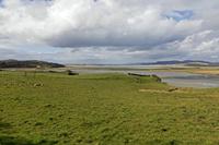 Cjp_2017-03-31_140452.jpg