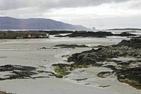 Cjp_2017-03-31_144406.jpg