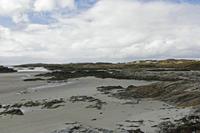 Cjp_2017-03-31_144504.jpg