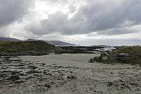 Cjp_2017-03-31_144740.jpg