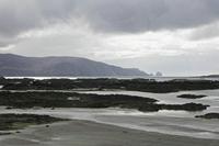 Cjp_2017-03-31_144834.jpg