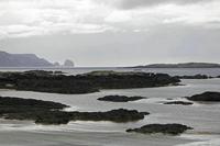 Cjp_2017-03-31_144842.jpg