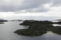 Cjp_2017-03-31_145018.jpg