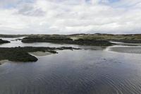 Cjp_2017-03-31_145050.jpg