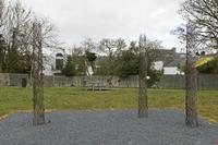 Cjp_2017-03-31_154916.jpg