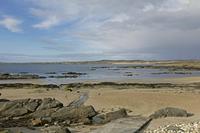 Cjp_2017-03-31_163652.jpg