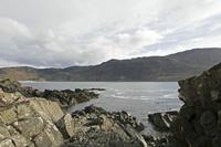 Cjp_2017-03-31_164442.jpg