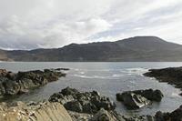 Cjp_2017-03-31_164502.jpg