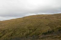 Cjp_2017-03-31_172008.jpg
