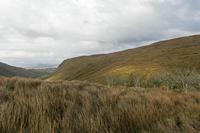 Cjp_2017-03-31_173008.jpg