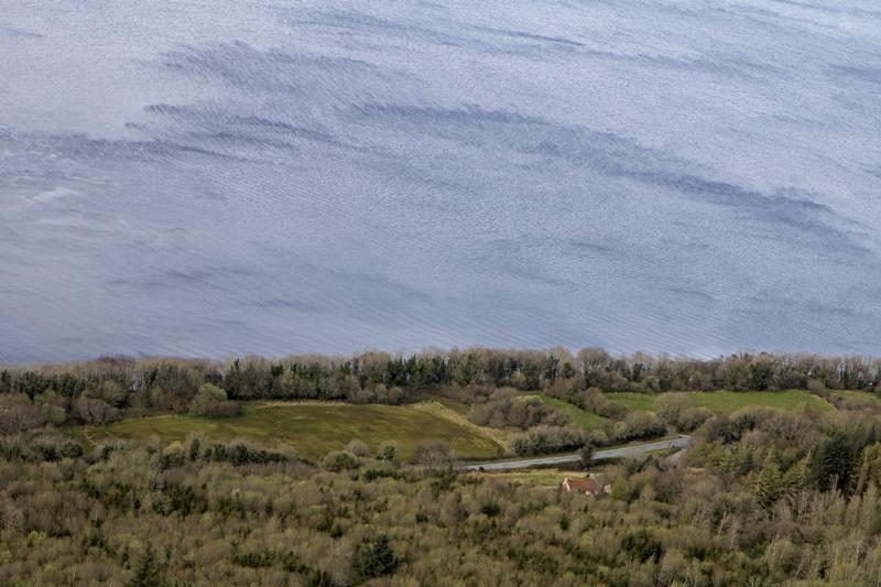 Cjp_2017-04-02_160728.jpg